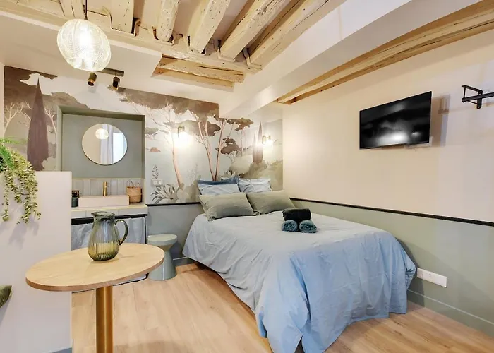 Cozy Studio In Le Marais - Fully Equipped